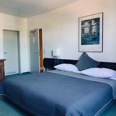 Hotel Mainzer Hof 2*